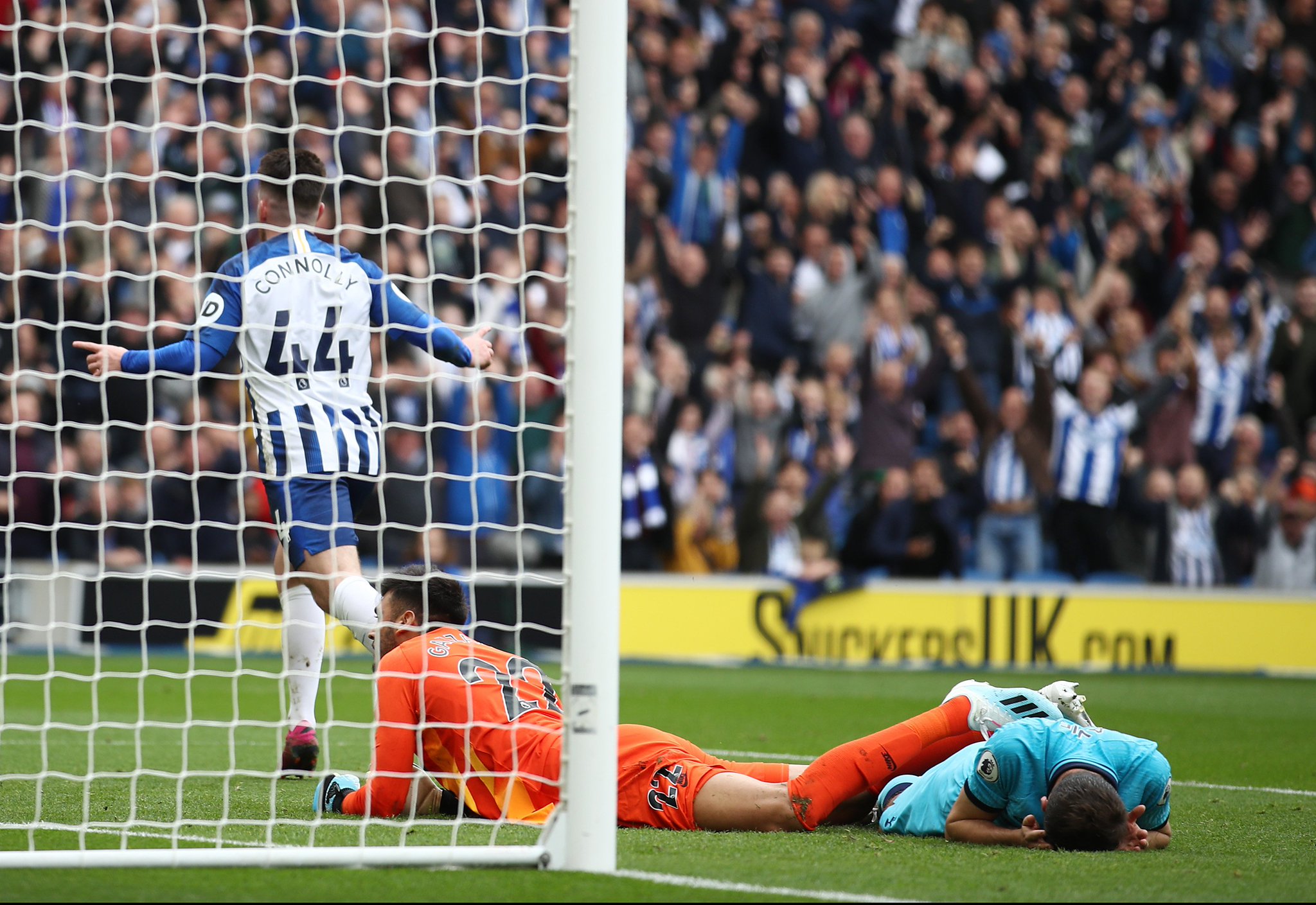 表现出对足 表现出对足